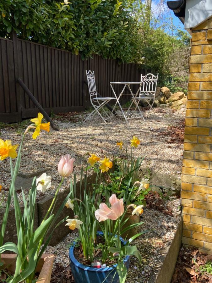 Swallow Cottage Castle Cary Exterior photo